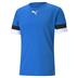 Puma Team Rise Short Sleeve Shirt (Budget Club Shirt)