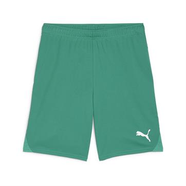 Puma team GOAL Shorts - Green
