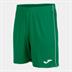 Joma Liga Shorts