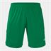 Joma Tokio II Shorts