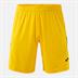 Joma Tokio II Shorts