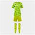 Joma Area Set (Short Sleeve Shirt, Shorts And Socks)
