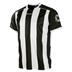 Stanno Brighton Football Shirt (Short Sleeve)  *Last Year Of Supply*