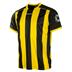 Stanno Brighton Football Shirt (Short Sleeve)  *Last Year Of Supply*