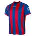 Stanno Brighton Football Shirt (Short Sleeve)  *Last Year Of Supply*