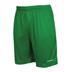 Stanno Field Short