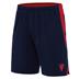 Macron Tempel Shorts