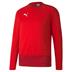 Puma Goal Sweatshirt *Last Year Of Supply*