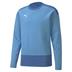 Puma Goal Sweatshirt *Last Year Of Supply*