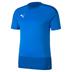 Puma Goal Training Shirt *Last Year Of Supply*