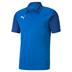 Puma Goal Sideline Polo