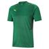 Puma Team Cup Graphic Training Shirt *Last year of supply*