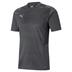 Puma Team Cup Graphic Training Shirt *Last year of supply*