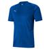 Puma Team Cup Graphic Training Shirt *Last year of supply*