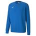 Puma Goal Casual Cotton Sweatshirt *Last Year Of Supply*