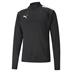 Puma Team Liga Half Zip Top