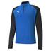 Puma Team Liga Half Zip Top