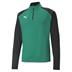 Puma Team Liga Half Zip Top