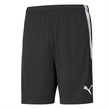 Puma Team Liga Training Shorts (With Zipped Pockets) - Black