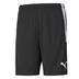 Puma Team Liga Training Shorts (With Zipped Pockets)