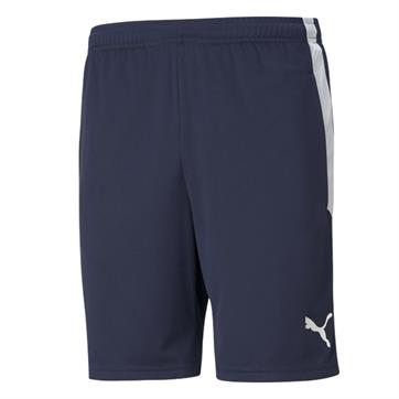 Puma Team Liga Training Shorts (With Zipped Pockets) - Navy