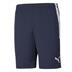 Puma Team Liga Training Shorts (With Zipped Pockets)