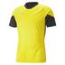 Puma TeamCUP Training Shirt