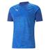 Puma TeamCUP Training Shirt