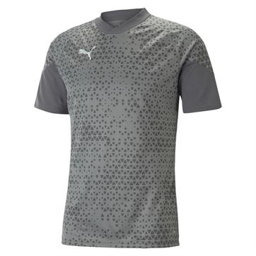 Puma TeamCUP Training Shirt - Grey