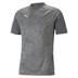 Puma TeamCUP Training Shirt