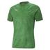 Puma TeamCUP Training Shirt