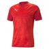 Puma TeamCUP Training Shirt