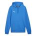 Puma team Goal Casual Cotton Hoody