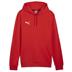 Puma team Goal Casual Cotton Hoody