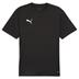 Puma team GOAL Short Sleeve Training Shirt