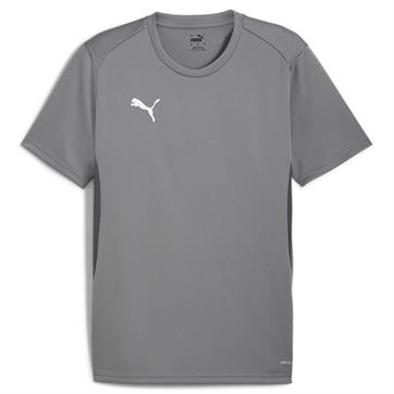 Puma team GOAL Short Sleeve Training Shirt - Cast Iron