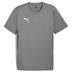Puma team GOAL Short Sleeve Training Shirt