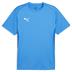 Puma team GOAL Short Sleeve Training Shirt