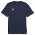 Puma team GOAL Short Sleeve Training Shirt