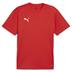 Puma team GOAL Short Sleeve Training Shirt