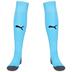 Puma Liga Core Socks