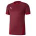 Puma Goal Short Sleeve Shirt *Last Year Of Supply*