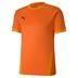 Puma Goal Short Sleeve Shirt *Last Year Of Supply*