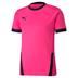 Puma Goal Short Sleeve Shirt *Last Year Of Supply*