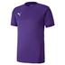 Puma Goal Short Sleeve Shirt *Last Year Of Supply*