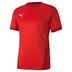 Puma Goal Short Sleeve Shirt *Last Year Of Supply*