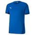 Puma Goal Short Sleeve Shirt *Last Year Of Supply*