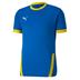 Puma Goal Short Sleeve Shirt *Last Year Of Supply*