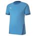 Puma Goal Short Sleeve Shirt *Last Year Of Supply*