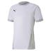 Puma Goal Short Sleeve Shirt *Last Year Of Supply*